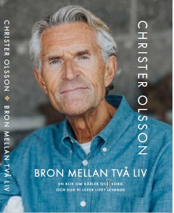Bron mellan två liv 9789152785423