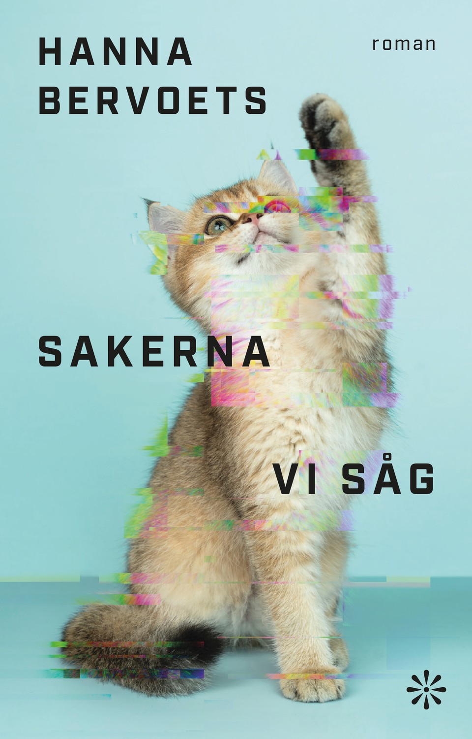 Sakerna vi såg 9789179652777