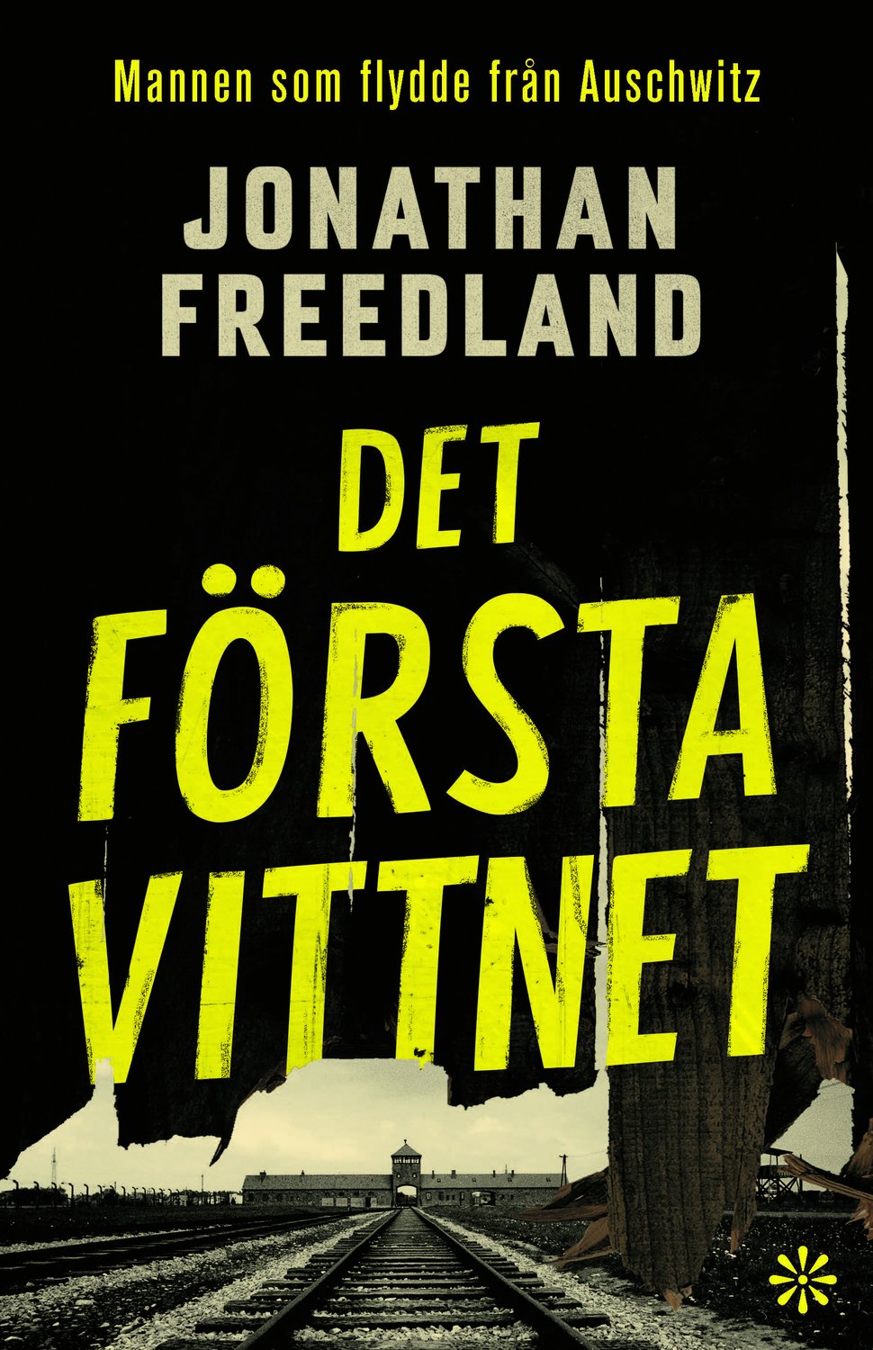 Det första vittnet 9789179652807