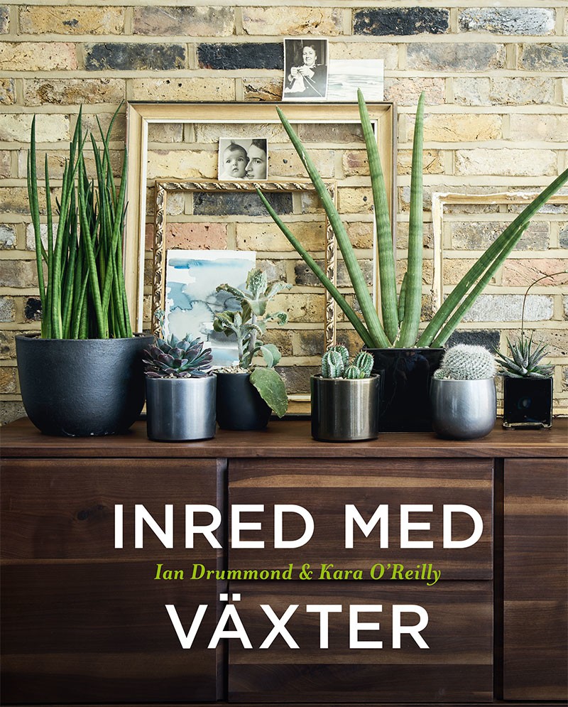 Inred med växter 9789180374279