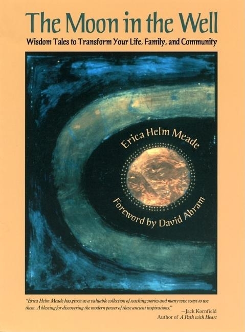 Moon in the Well 9780812694413