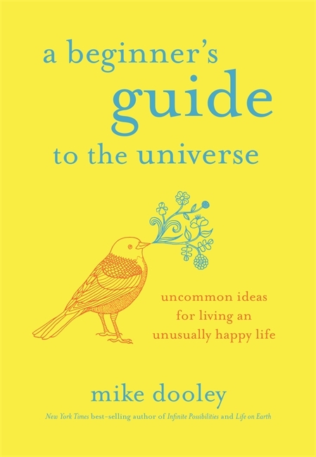 A Beginner's Guide to the Universe 9781788170291