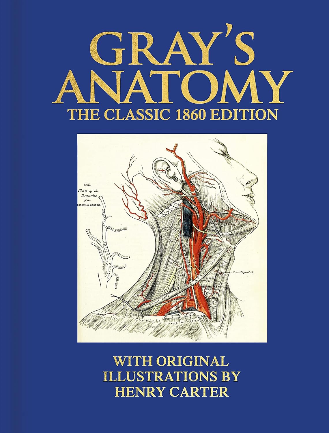 Gray's Anatomy 9781398824492