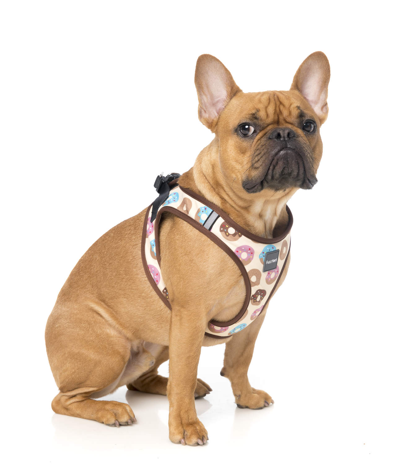 raiders dog harness